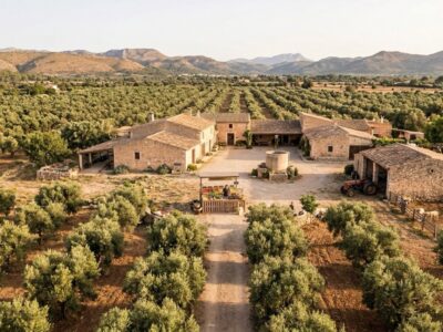 Mallorca’s Best Eco & Conscious Food Spots