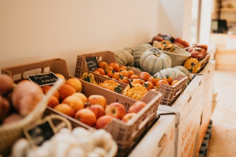 Friday Experience – Guided Farm Tour & Tasting Menu at Hort de Sa Vall